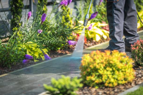 Best Patio and Deck Pressure Washing  in Meridian Hills, IN