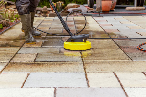 Best Fence Cleaning  in Meridian Hills, IN